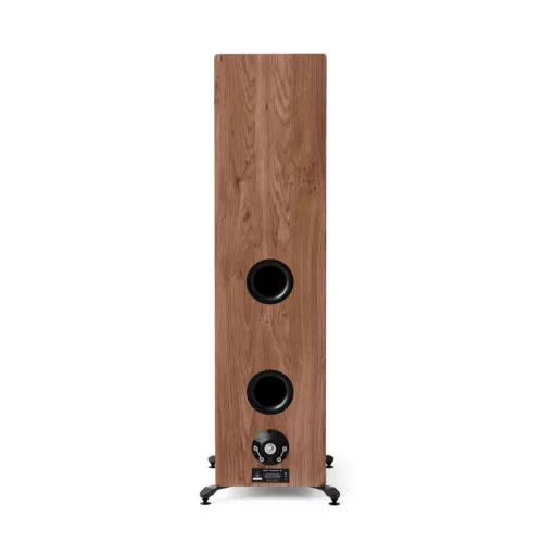Elipson Prestige Facet II 34F - dió - bemutatótermi darab