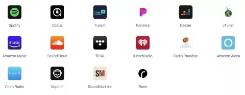 WiiM ULTRA hálózati audio lejátszó - szürke